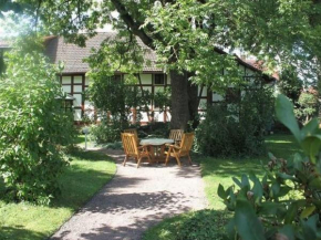 Comfortable Apartment in Tabarz Thuringia near Forest in Tabarz, Gotha